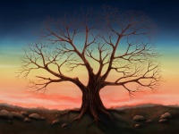 Картинка к "Проективный рисуночный тест "Дерево""
