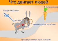 Картинка к "Мотивация и другие движущие силы человеческого поведения"