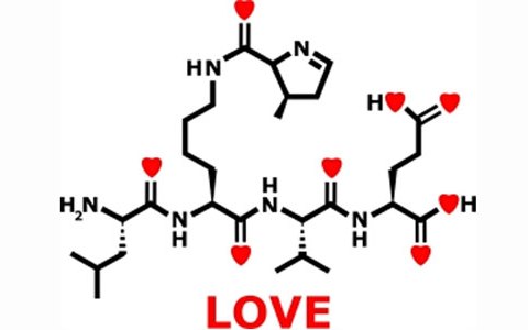 Картинка к "Химические основы романтической любви"