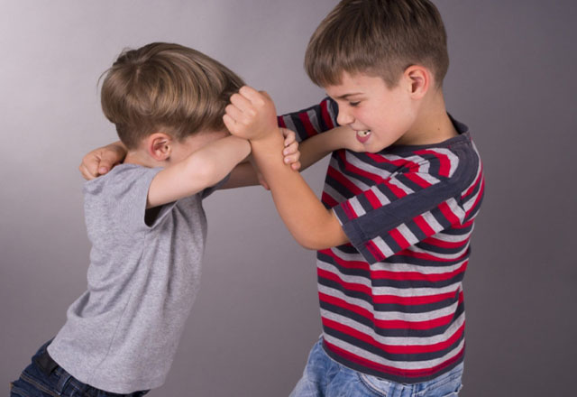 Картинка к "Особенности проявления детской агрессивности"