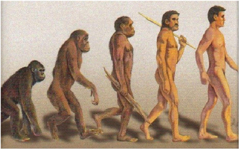 Картинка к "Эволюция"