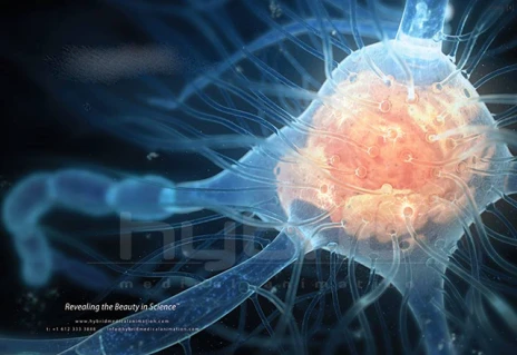 Картинка к "Нейробиологические механизмы памяти"