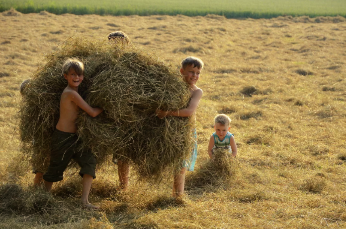 Картинка к "Детский труд — радость"