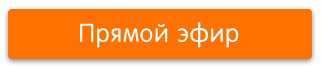 Кнопка.png
