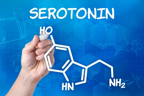 Картинка к "Серотонин: гормон светлой радости и счастья"