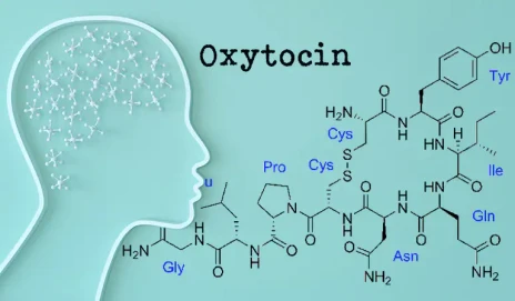 Картинка к "Окситоцин: гормон доверия и нежной привязанности"
