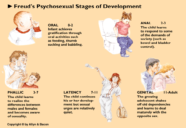 Картинка к "Психосексуальное развитие"
