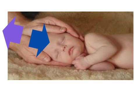 Когда ладони обнимают голову младенца, можно ловить свои ощущения, а можно - свои чувства. Внимательными ладонями мама может измерять температуру ребенка, а может - чувствовать и передавать нежность.